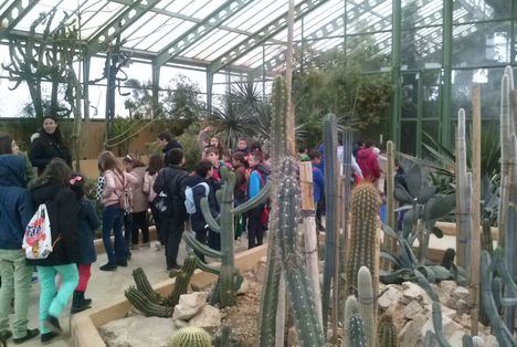 El patronato del Jardín Botánico de Albacete aprueba el plan de acción del 2020 orientado a una mayor divulgación
