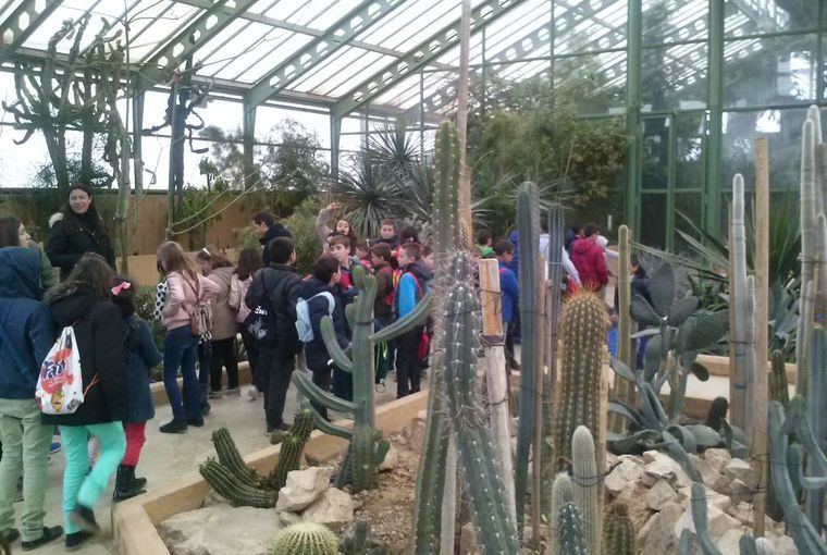 El patronato del Jardín Botánico de Albacete aprueba el plan de acción del 2020 orientado a una mayor divulgación