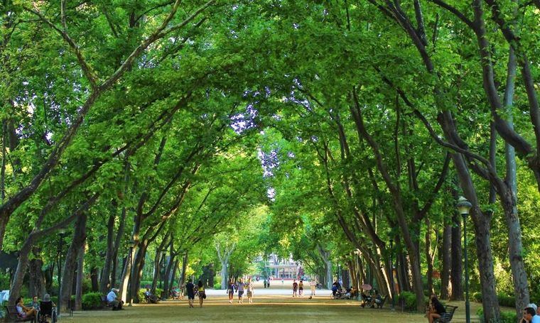 El Ayuntamiento está en disposición de conceder la licencia de apertura y actividad del refrescante del Parque, tan pronto como el proyecto se adapte al Plan General