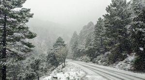 Albacete puede registrar acumulaciones de nieve de 20 centímetros en Bonete, Hellín, Almansa, Alcaraz y Sierra del Segura