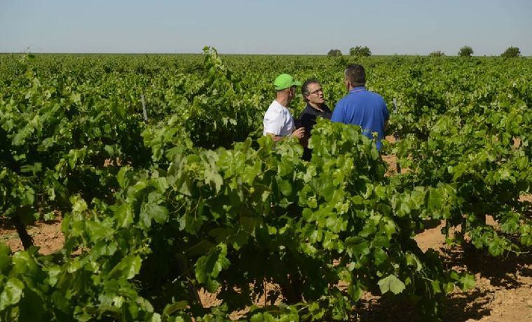 Vega Tolosa, bodegueros de día, desinfectando el pueblo de noche