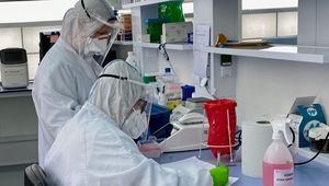 La Unidad de Investigación de Albacete implanta una nueva técnica que permite reducir el tiempo para obtener el resultado de la PCR