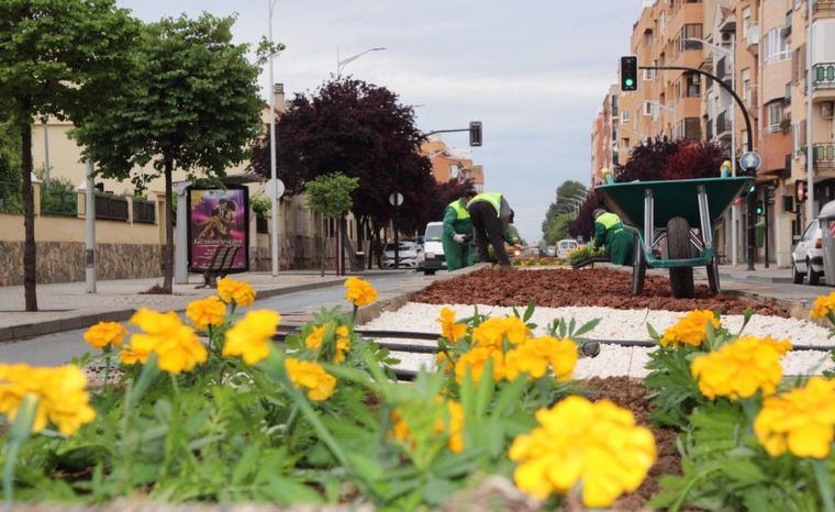 La Concejalía de Sostenibilidad del Ayuntamiento de Albacete realiza trabajos de ornamentación en la mediana de la Carretera de Jaén