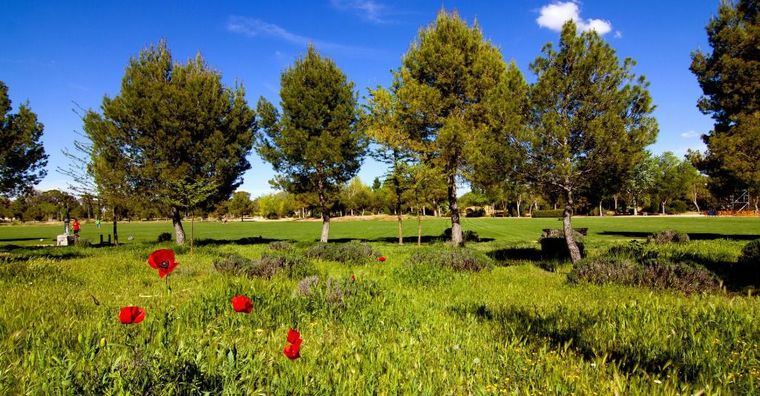 Los parques de La Pulgosa y los Pinares del Júcar abren este lunes con su horario habitual