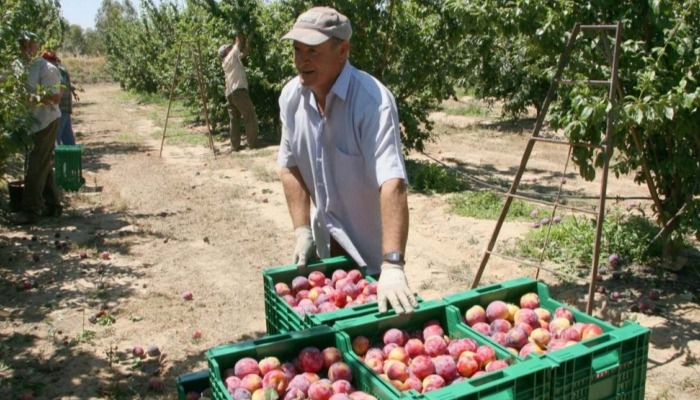 Castilla-La Mancha es la segunda región con mayor descenso del paro en el mes de mayo