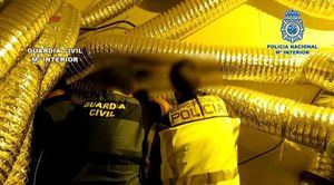 La Guardia Civil y la Policía Nacional desmantelan un centro intensivo de producción y germinación de Cannabis Sativa