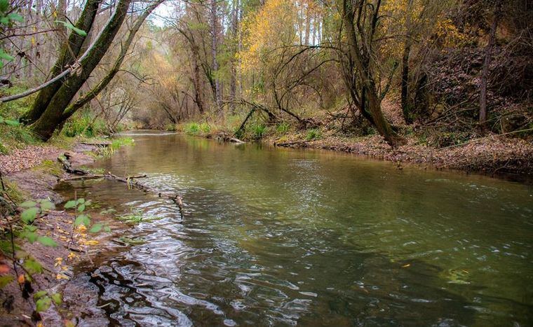 Herido un hombre de 50 años al caer por una ladera cuando pescaba en Molinicos (Albacete)