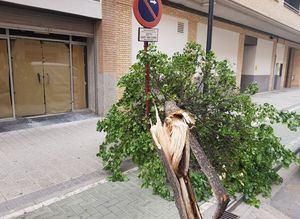 El Ayuntamiento de Albacete cierra los parques de la ciudad por las fuertes rachas de viento