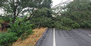 Casi 50 incidencias en Castilla-La Mancha por el temporal con desprendimiento de fachadas, caídas de árboles y achiques de agua