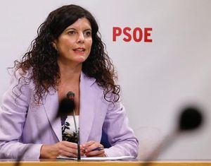 El PSOE de Albacete lamenta “la irresponsabilidad y la deslealtad mostrada por el PP, no con el Gobierno regional, sino con los castellano-manchegos”