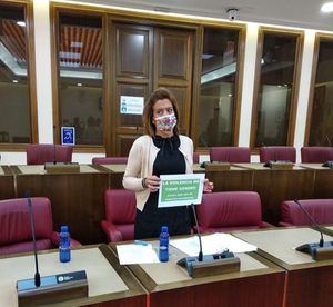 Rosario Velasco, de Vox: "Los grupos Socialista, Ciudadanos y Podemos se han negado a aprobar la moción para que el Ayuntamiento facilitara mascarillas gratuitas a todos los albaceteños"
