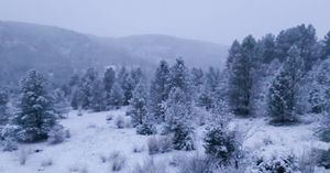 En Castilla-La Mancha se han producido importantes nevadas en las últimas horas, especialmente en la Sierra del Segura