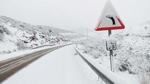 El Gobierno de Castilla-La Mancha tiene preparado un dispositivo especial para hacer frente a las incidencias que pueda provocar la nieve en la Red Regional de Carreteras
