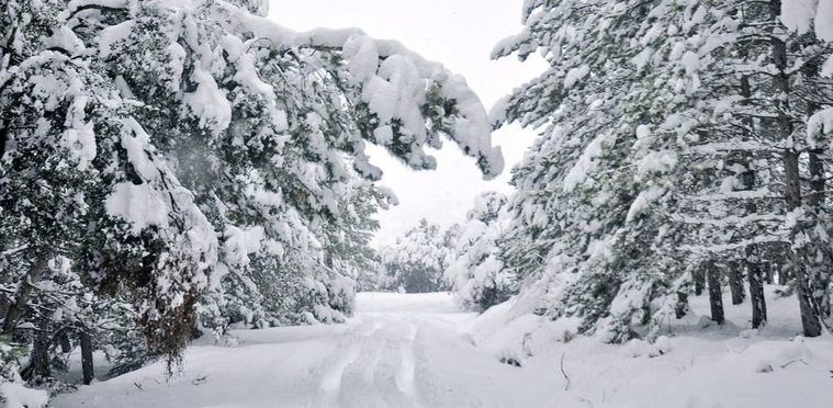 Foto: Carreteras de Nerpio con más de medio metro de nieve.