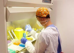 Coronavirus.- Castilla-La Mancha suma 2.646 nuevos casos y el número de fallecidos se eleva a 19