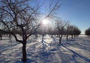 El ITAP de Albacete espera 