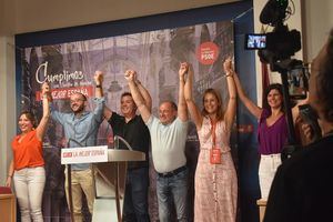Las y los diputados y senadores socialistas por Albacete trabajarán en 13 comisiones parlamentarias
