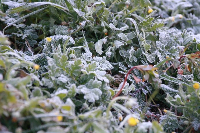 Nerpio se cuela entre las 10 temperaturas más bajas del lunes