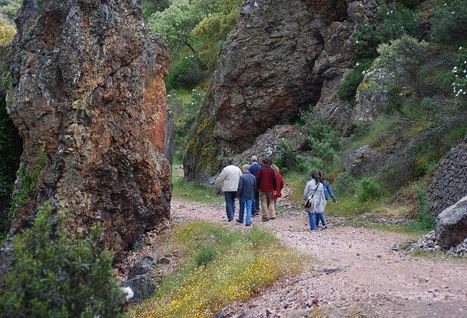 Centros docentes de Castilla-La Mancha podrán pedir desde este jueves ayudas al transporte para hacer visitas a espacios naturales