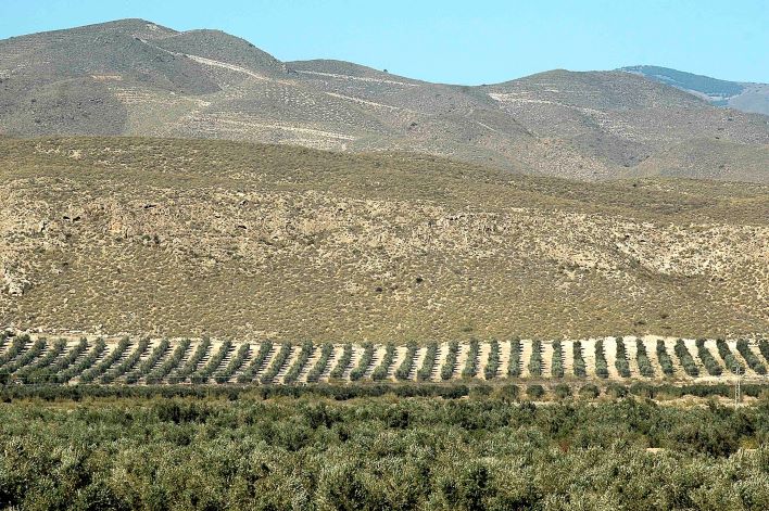 La Junta convoca por procedimiento de tramitación anticipada indemnizaciones para agricultores en zonas de montaña