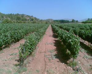 Castilla-La Mancha concreta 