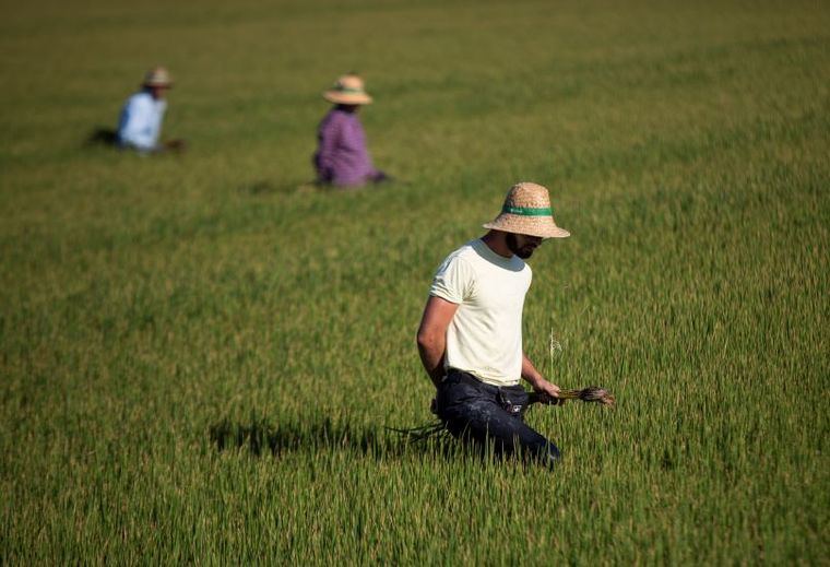 Más de 139.000 agricultores de zonas afectadas por sequía como Castilla-La Mancha reciben una ayuda extra de casi 269 millones