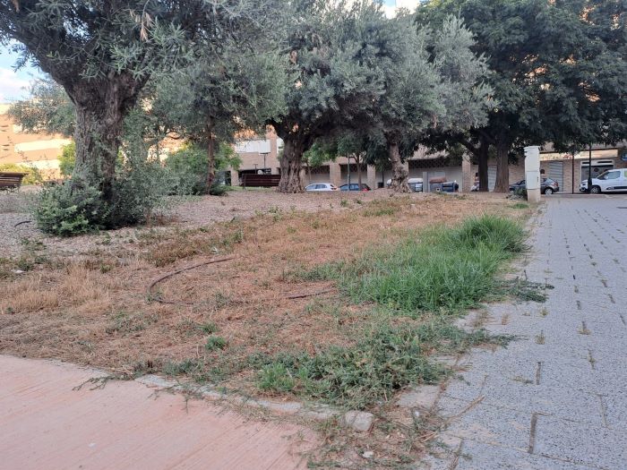 El PSOE de Albacete denuncia el 'lamentable' estado en el que se encuentra el Parque Félix Rodríguez de la Fuente de la ciudad