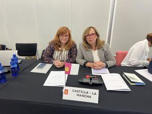 Castilla-La Mancha lleva al Consejo de Patrimonio Histórico la candidatura de 'Paisaje Dulce y Salado' como freno a la despoblación