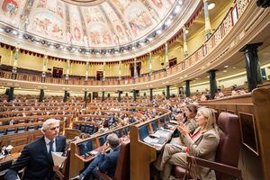 Castilla-La Mancha Inclusiva Cocemfe pide el apoyo a todos los partidos políticos a la reforma del artículo 49 de la Constitución