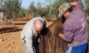 Castilla-La Mancha acaba el 2023 con 134.806 personas desempleadas, tras cerrar el año con una bajada de 8.419