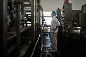 Lactalis Villarrobledo acaba 2023 con 325 empleados y 19.000 toneladas producidas, a la cabeza de las queseras