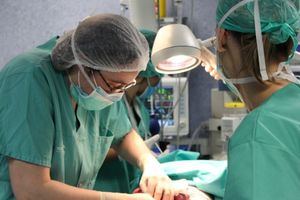 Las donaciones de órganos y tejidos aumentaron un 22% en Castilla-La Mancha en 2023, hasta los 90 donantes