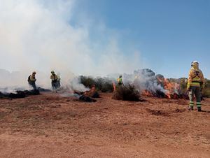 Estudiantes de Montes y Forestales de UCLM y del Centro Integrado de FP de Aguas Nuevas 'plantan fuego amigo'