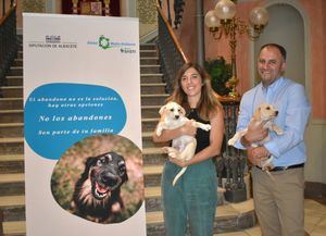 La Diputación de Albacete lanza junto a Athisa una campaña para concienciar contra el abandono animal en el marco de su programa 'Emperrados'