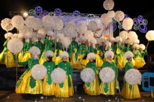 Los trabajadores de la Residencia Núñez de Balboa, ganadores del Carnaval de Albacete, por su disfraz ‘Flores dientes de león’