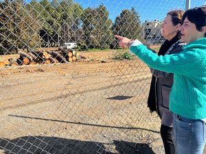 El Grupo Municipal Socialista exige más diálogo ciudadano en la gestión del arbolado urbano, tras la eliminación de medio centenar de olmos en el Sector 3