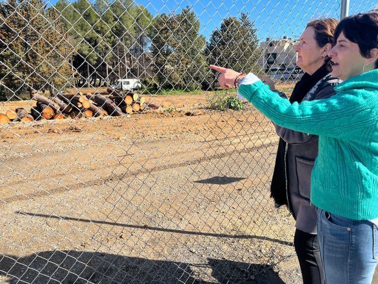 El Grupo Municipal Socialista exige más diálogo ciudadano en la gestión del arbolado urbano, tras la eliminación de medio centenar de olmos en el Sector 3