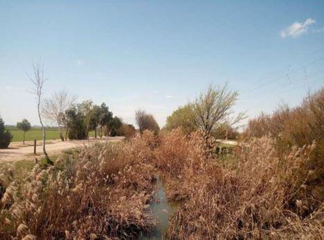 El Ayuntamiento va a retomar los trabajos de limpieza en el Canal de María Cristina para evitar molestias y plagas de mosquitos