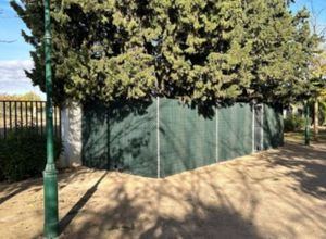 El avance en el control y cuidado de las colonias felinas permite “mejorar la protección de estos animales, evitar su proliferación y mejorar la convivencia vecinal”