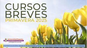 El Ayuntamiento de Albacete impulsa la educación continua con la nueva programación de cursos breves de la Universidad Popular para la primavera de 2025