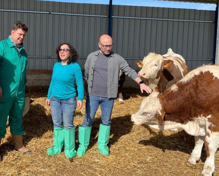 La Junta finaliza este viernes el pago del anticipo de la PAC 2025 con el ingreso de casi 3,9 millones de euros en las cuentas de más de 600 ganaderos albaceteños de ovino, caprino y vacuno