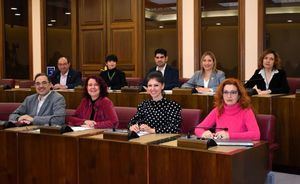 El Grupo Socialista logra descuentos de hasta el 40% para la juventud albaceteña en las actividades culturales