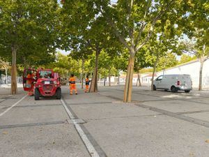 El Ayuntamiento inicia los trabajos de vallado perimetral y protección de los árboles de la fase 1 de las obras de los Ejidos de la Feria con las que se mejorará su accesibilidad