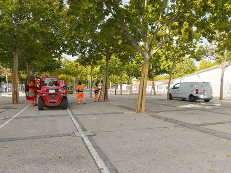 El Ayuntamiento inicia los trabajos de vallado perimetral y protección de los árboles de la fase 1 de las obras de los Ejidos de la Feria con las que se mejorará su accesibilidad
