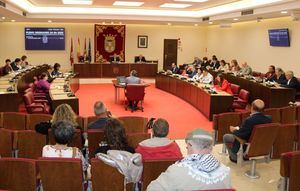 El Ayuntamiento de Albacete aprueba una declaración institucional con la que reafirma su compromiso con la garantía de los derechos de las personas con discapacidad