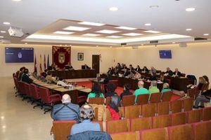 La ciudad tendrá un Consejo Técnico para mejorar la seguridad vial, con especial atención a peatones, ciclistas y vehículos vulnerables