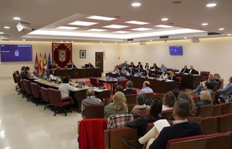 El Ayuntamiento aprueba dos declaraciones institucionales a favor de la accesibilidad universal y del papel de los municipios para el ejercicio de la libertad y la democracia