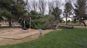 La borrasca 'Herminia' afectó a casi un centenar de árboles de los parques de Albacete