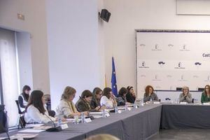 El Gobierno de Castilla-La Mancha pide poner en valor la utilidad de las políticas de igualdad en el Consejo Regional de la Mujer