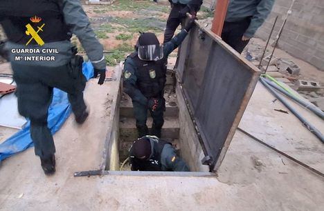 Desmantelados tres centros de producción de cannabis sativa con 800 plantas en El Salobral (Albacete)